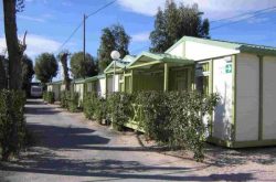 Costa Blanca pet friendly Campsite