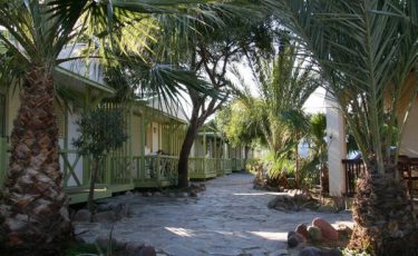 pet friendly camping los escullos in almeria