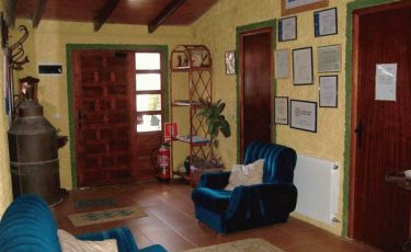 interior of the pet friendly rural house