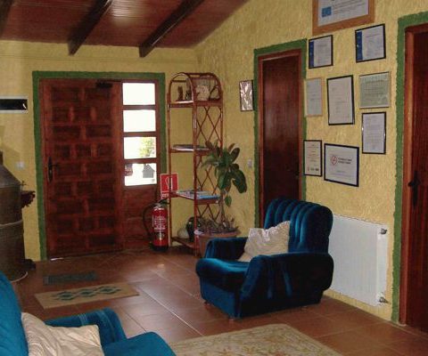 interior of the pet friendly rural house